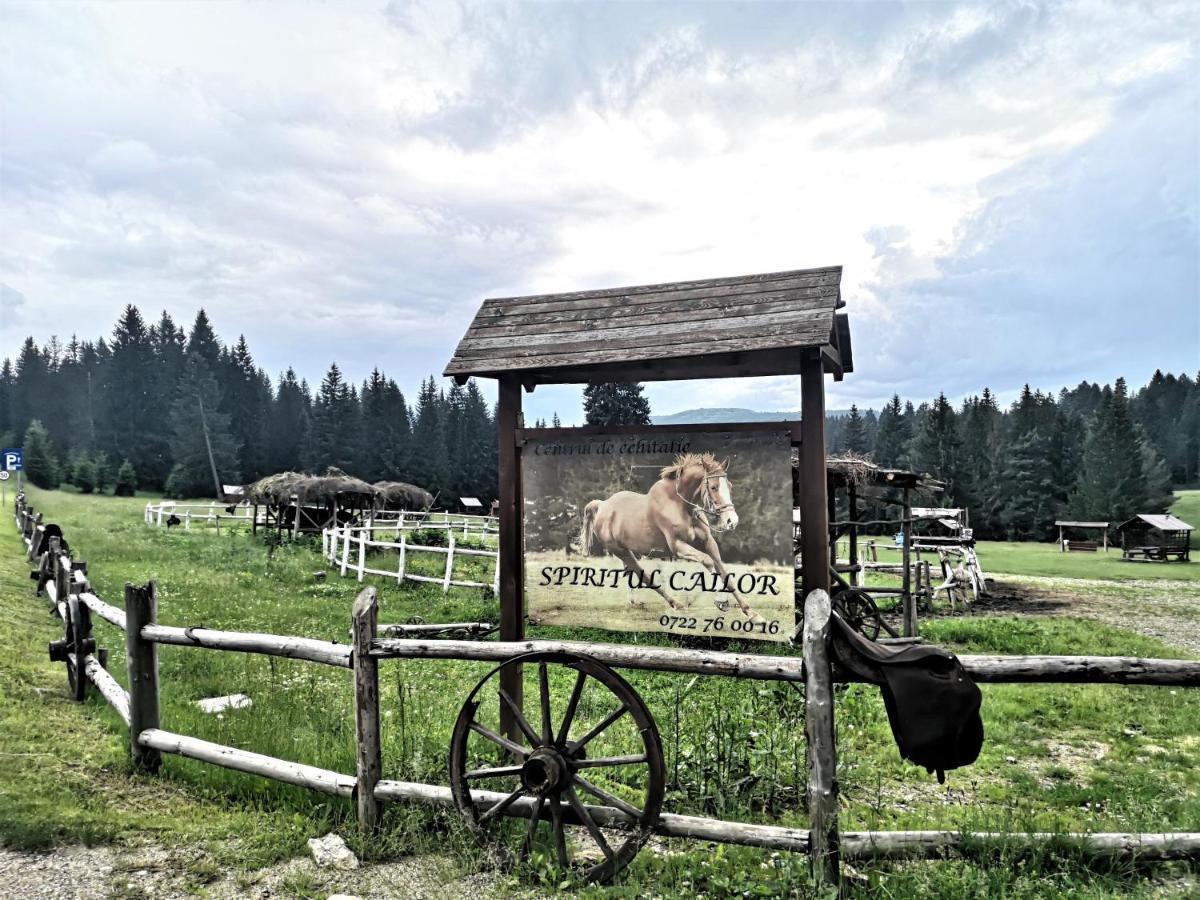 The Evergreen Nest - Silver Mountain Poiana Brasov Esterno foto