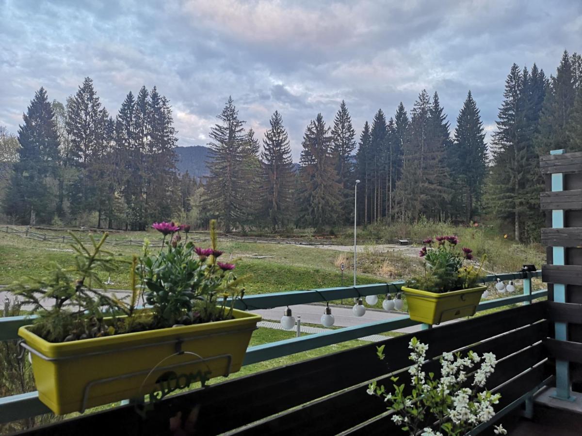 The Evergreen Nest - Silver Mountain Poiana Brasov Esterno foto
