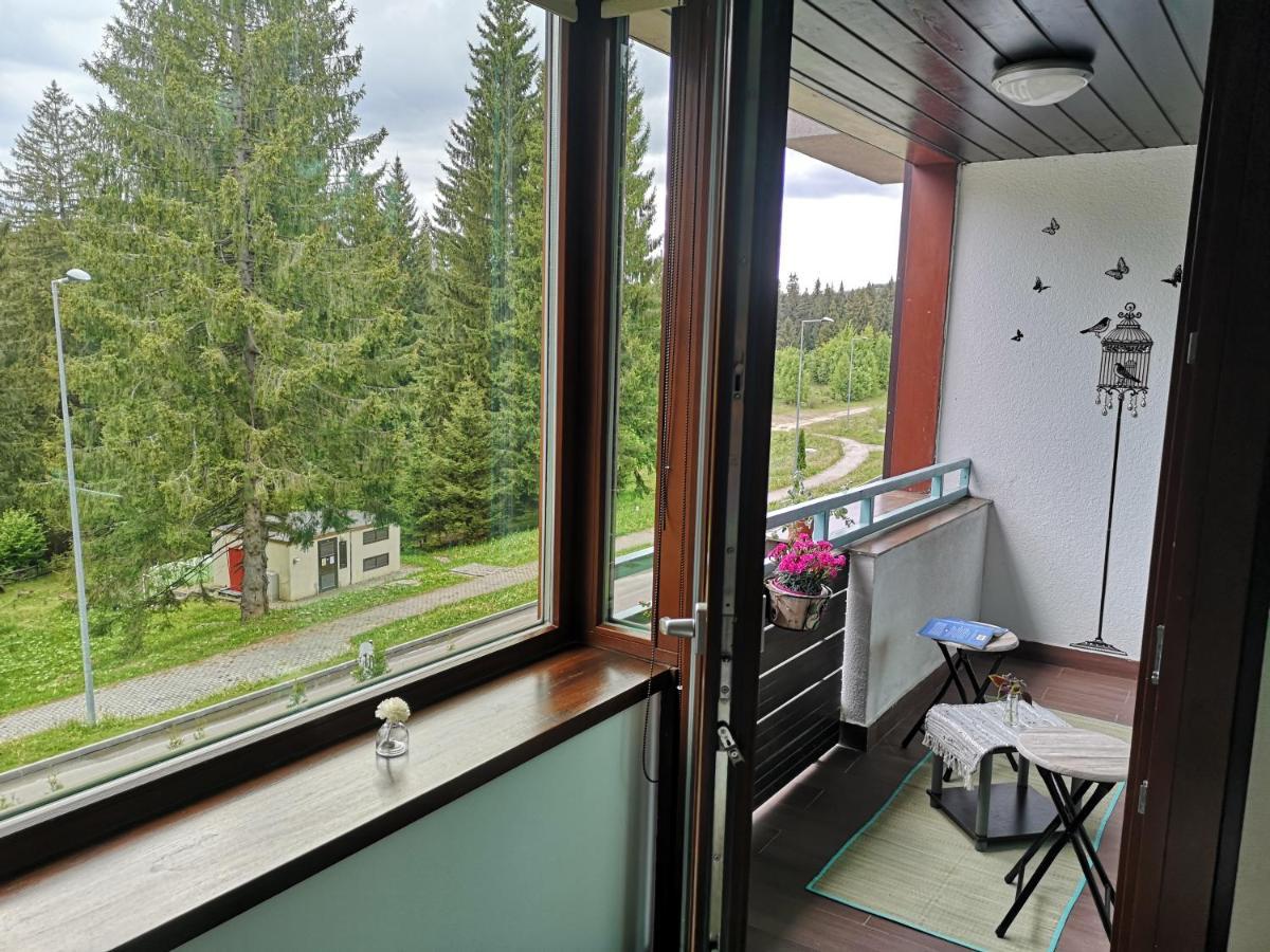 The Evergreen Nest - Silver Mountain Poiana Brasov Esterno foto