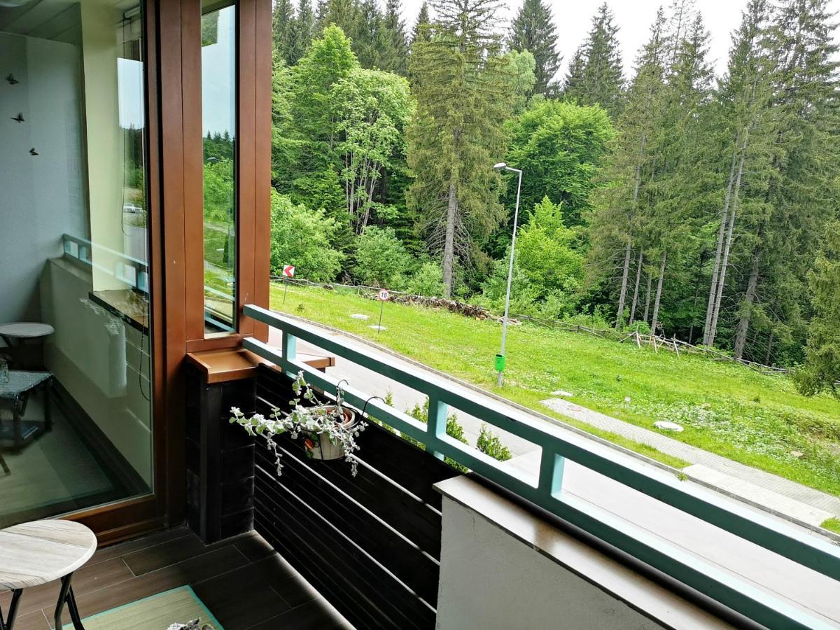 The Evergreen Nest - Silver Mountain Poiana Brasov Esterno foto