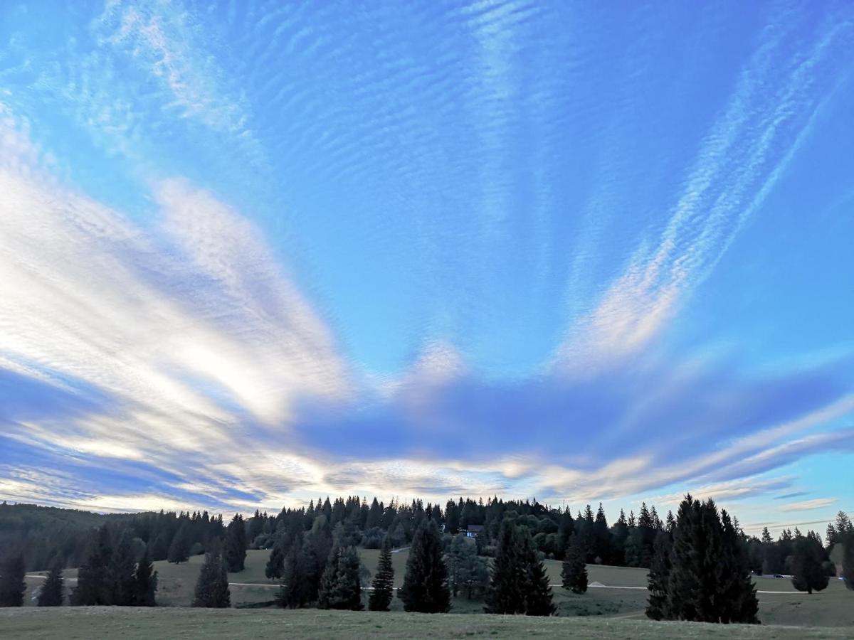 The Evergreen Nest - Silver Mountain Poiana Brasov Esterno foto