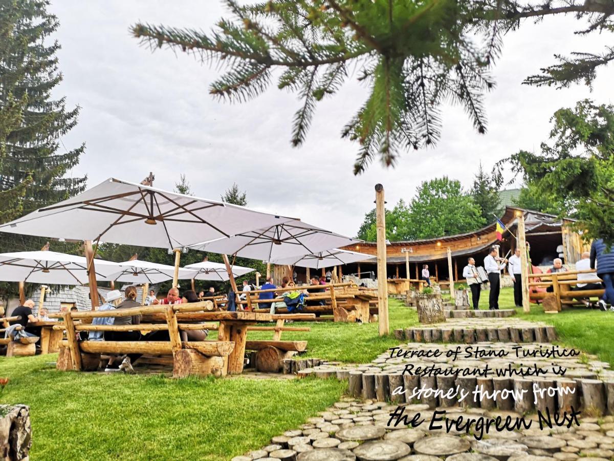The Evergreen Nest - Silver Mountain Poiana Brasov Esterno foto