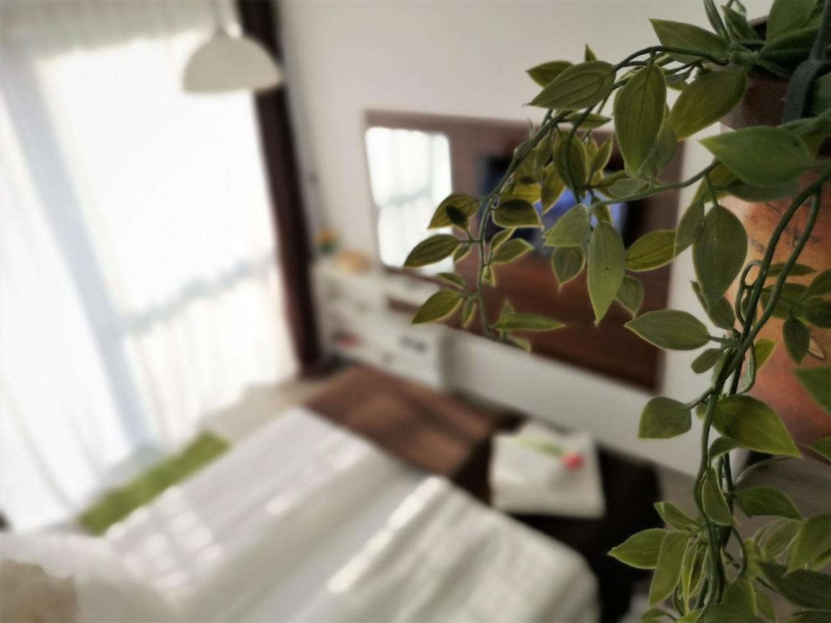 The Evergreen Nest - Silver Mountain Poiana Brasov Esterno foto
