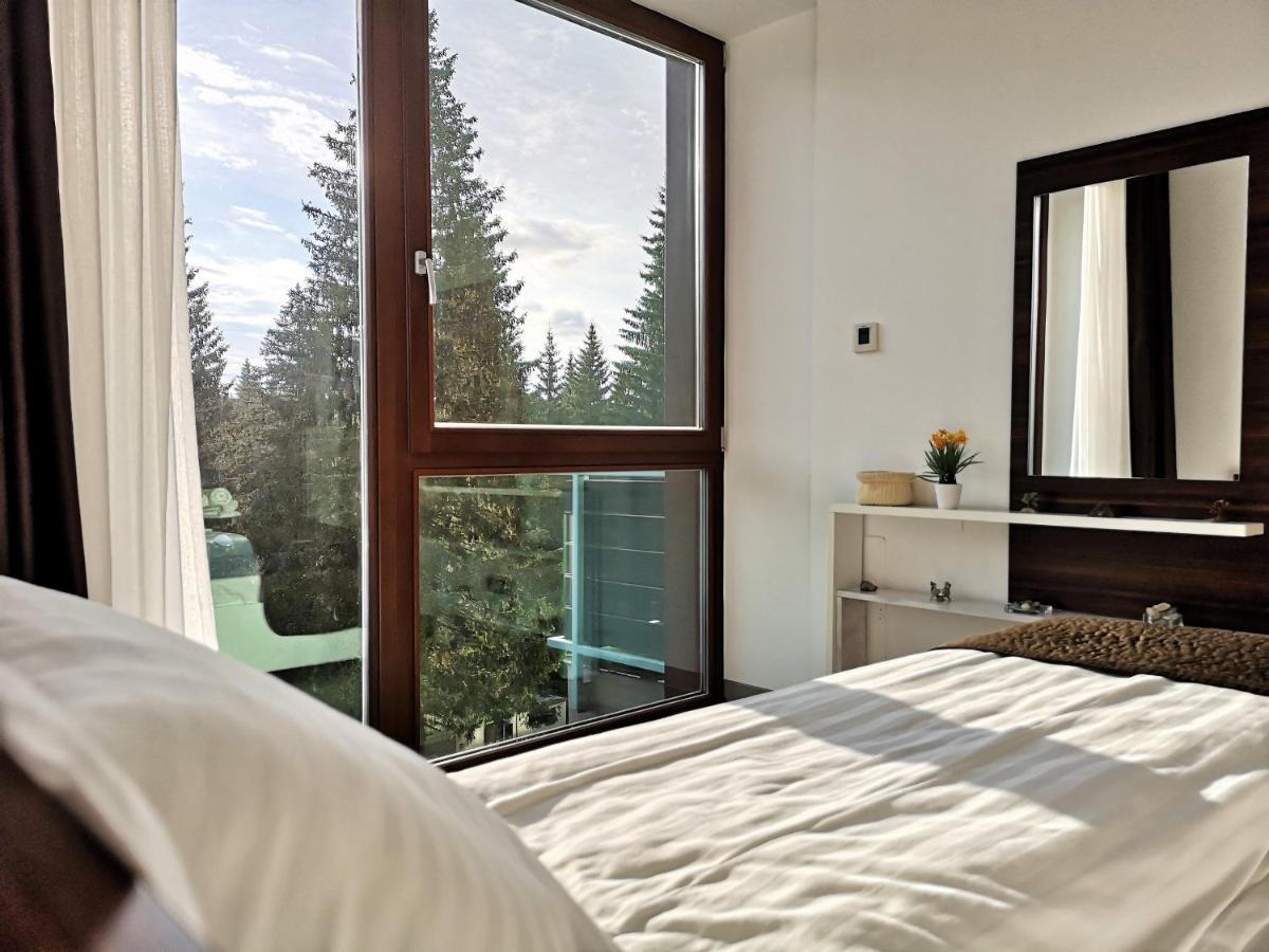 The Evergreen Nest - Silver Mountain Poiana Brasov Esterno foto