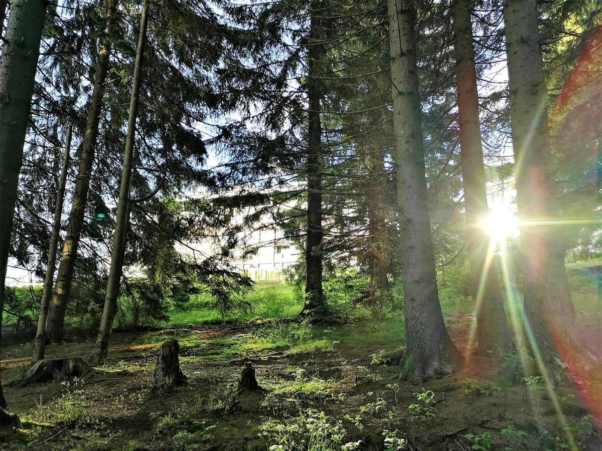The Evergreen Nest - Silver Mountain Poiana Brasov Esterno foto
