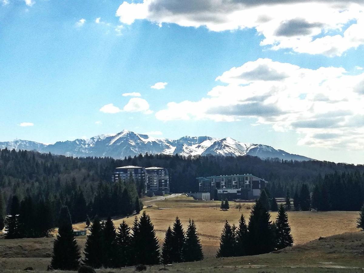 The Evergreen Nest - Silver Mountain Poiana Brasov Esterno foto