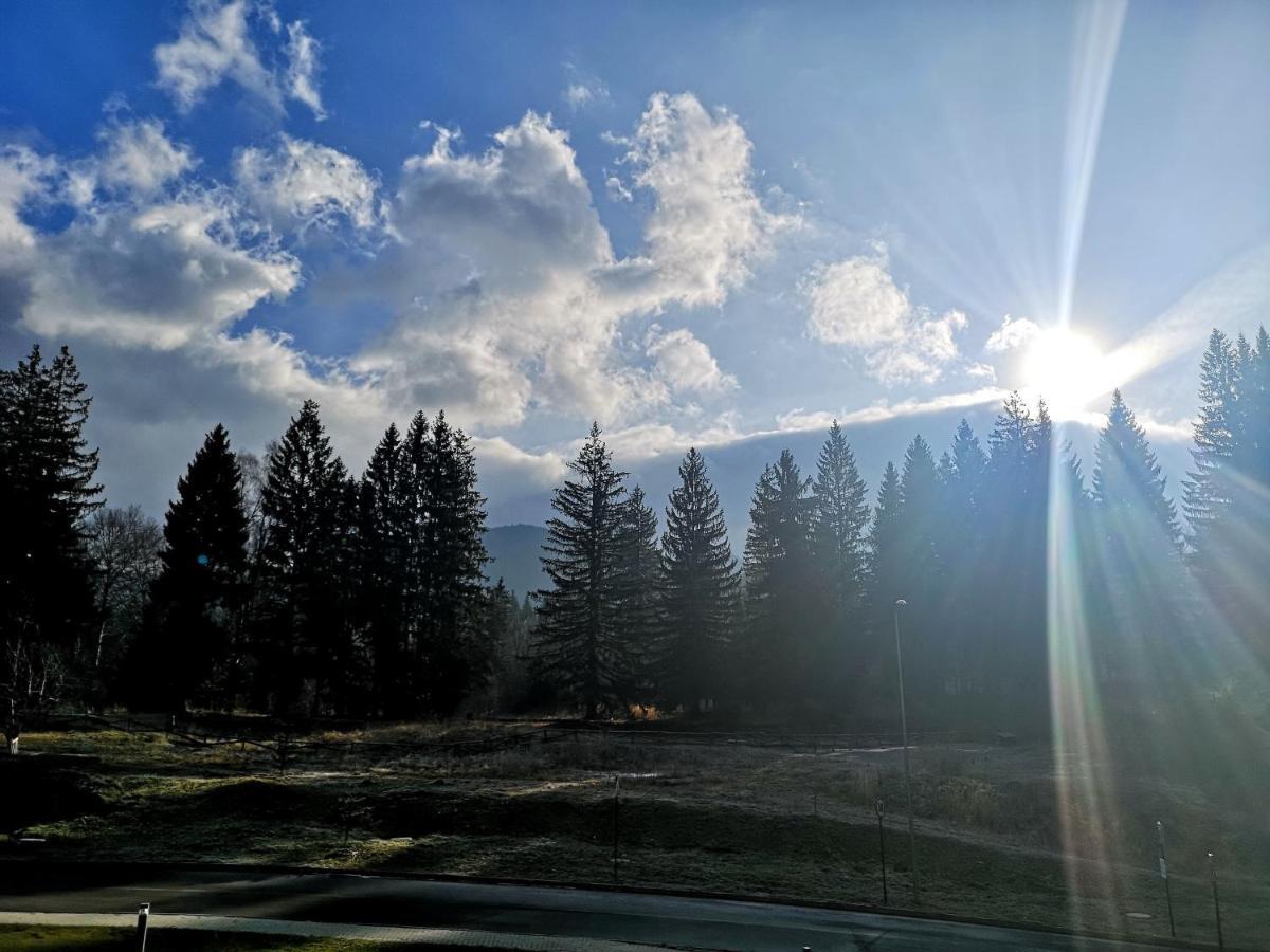 The Evergreen Nest - Silver Mountain Poiana Brasov Esterno foto